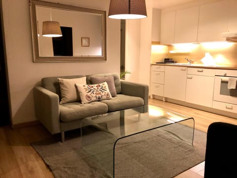 Cool & Central 2 bedroom in heart of Eaux-vives Apartment in Geneva