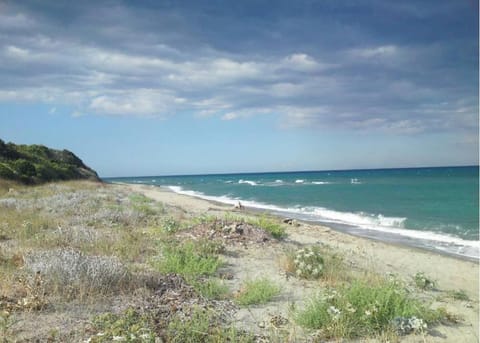 Day, Natural landscape