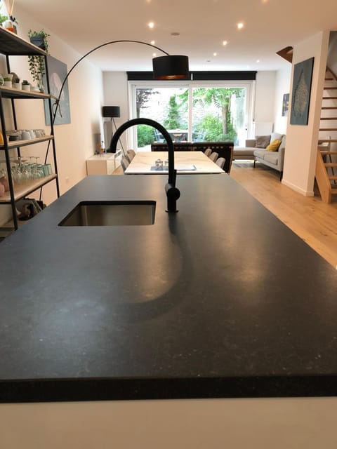 House Forelle Gent Apartment in Ghent