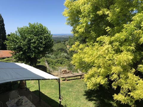 Natural landscape, Garden, Other, Garden view, Sea view