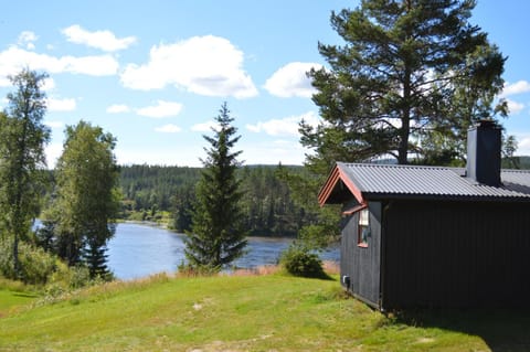 Summer, River view