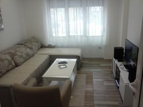 Apartman Veljic Apartment in Serbia