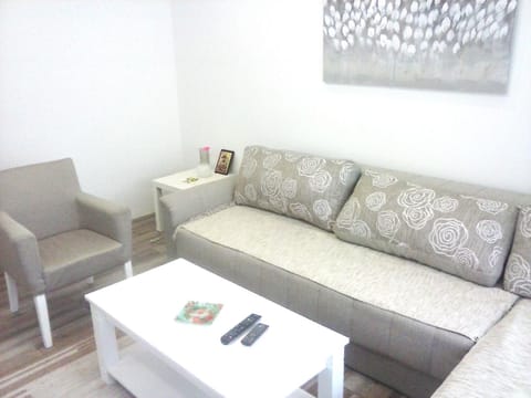 Apartman Veljic Apartment in Serbia