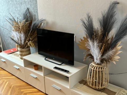 Communal lounge/ TV room, TV and multimedia