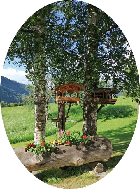 Natural landscape, Garden