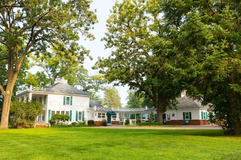 Property building, Facade/entrance, View (from property/room), Other, Decorative detail, On site, City view, Garden view