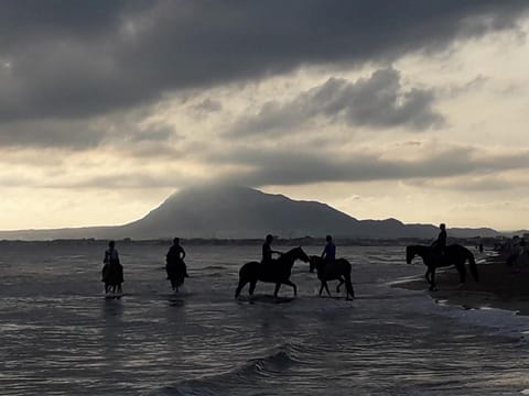 Oliva playa a 2 minutos junto a instalaciones hipicas MET House in Safor