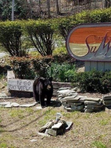 Facade/entrance, Property logo or sign