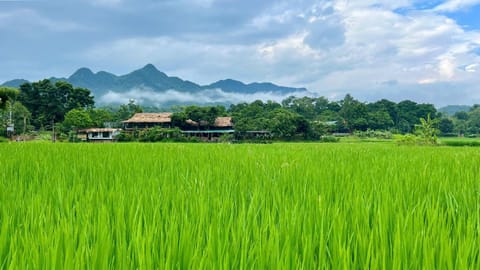 Natural landscape