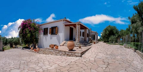 Property building, Day, Garden