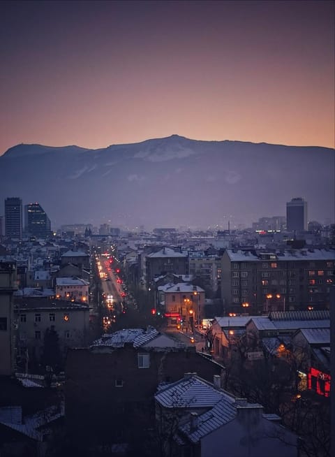 Bird's eye view, City view, Mountain view