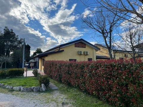 Property building, Garden, Garden view