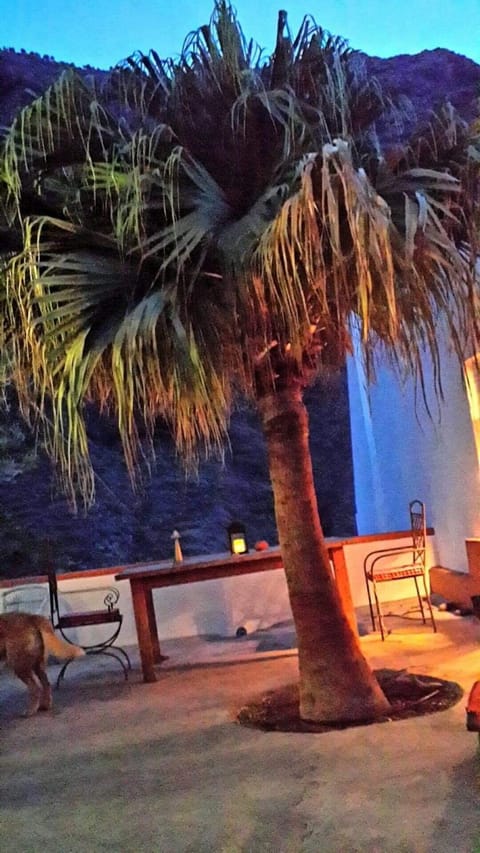 Property view