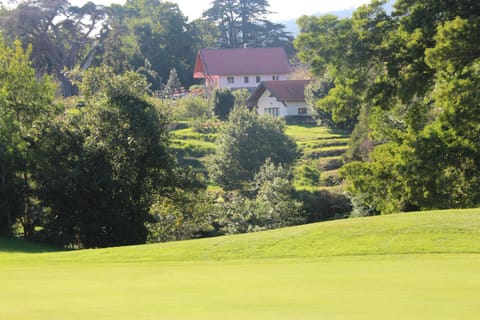 Natural landscape, Golfcourse, Garden view
