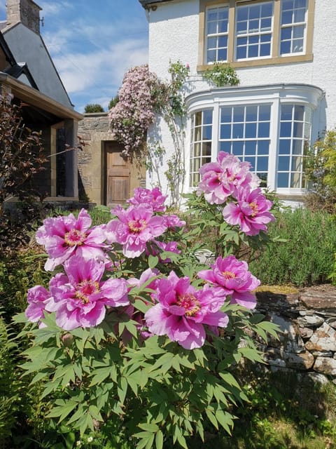 Garden, Balcony/Terrace