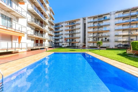 Garden, Swimming pool