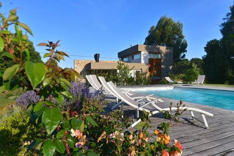 Spring, Day, Garden, Garden view, Pool view, Swimming pool, sunbed