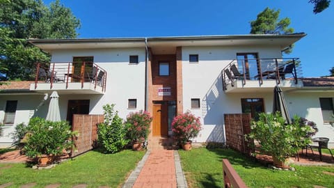 Property building, Summer