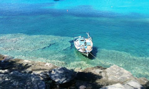 Nearby landmark, Neighbourhood, Natural landscape