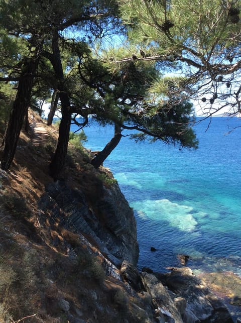 Nearby landmark, Neighbourhood, Natural landscape