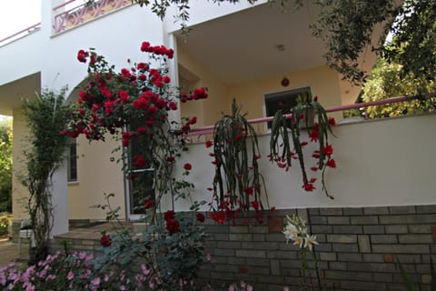 Property building, Patio, Facade/entrance