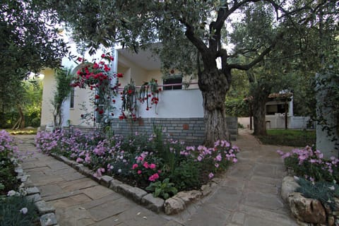 Property building, Patio, Facade/entrance, Garden