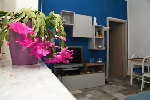 La Casa di Ermelinda House in Sapri