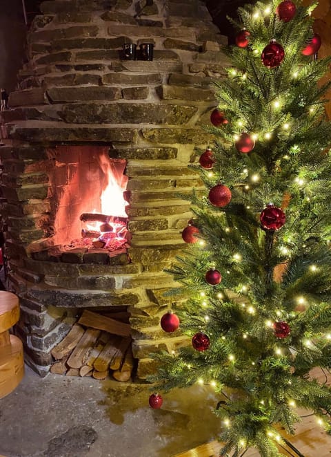 Ruka Chalet Roma Apartment in Lapland