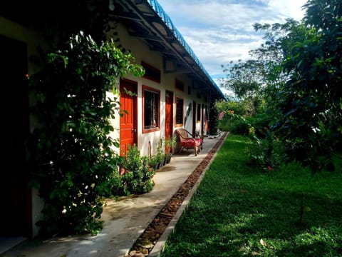Property building, Garden, Garden view