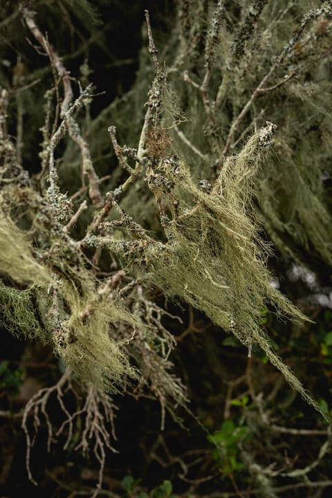 Baardbos Private Game Reserve Apartment in Western Cape