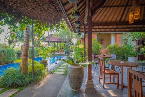 Garden, Swimming pool