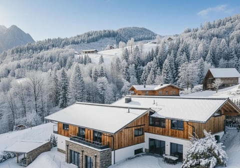 Rufana Alpin Apartment in Bürserberg