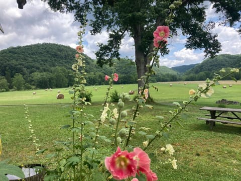 Natural landscape, Mountain view