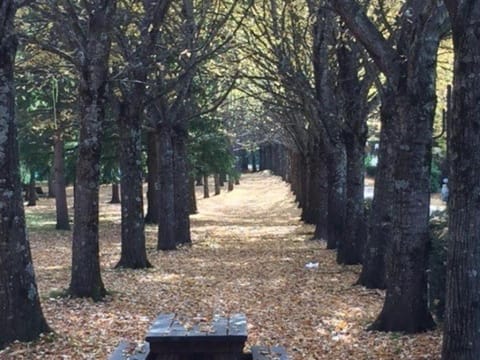 Natural landscape, Hiking