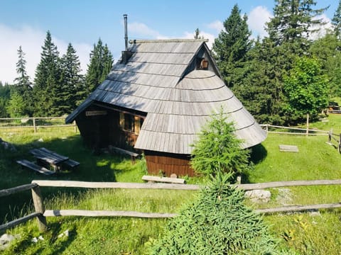 Property building, Garden, Balcony/Terrace, Hiking, Pets