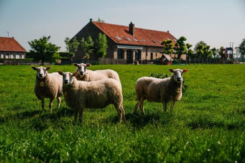 hoevehotel ter haeghe Hotel in Flanders