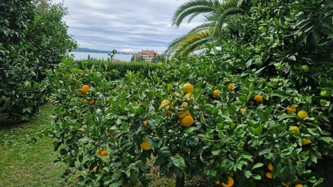 Apartments Ananina Apartment in Portorož