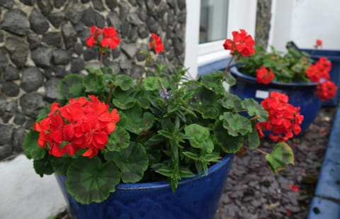 7 Mersey Street, Borth-y-Gest House in Wales