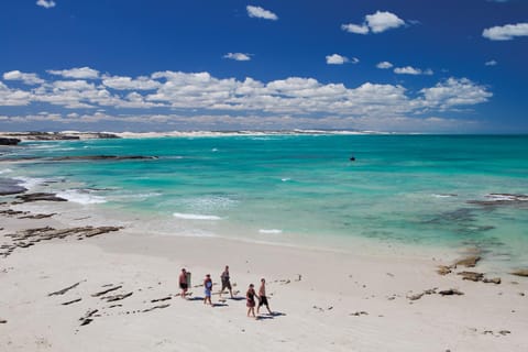Natural landscape, Beach, group of guests