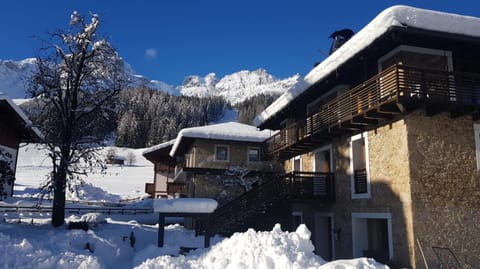Comelico Chalet Apartment in Friuli-Venezia Giulia