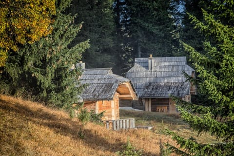 Lodge Nadgora Nature lodge in Montenegro