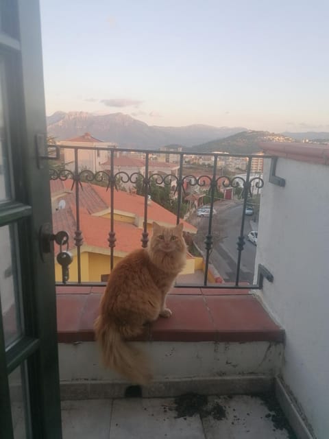 Coros Bed and Breakfast in Sardinia