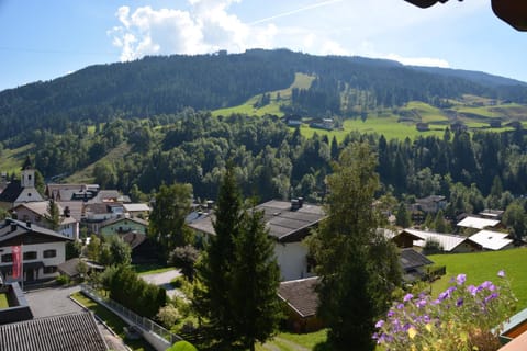 Natural landscape, On site, City view, Mountain view