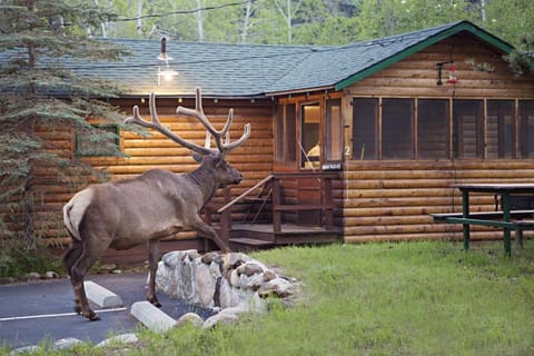 Idlewilde by the River Resort in Estes Park