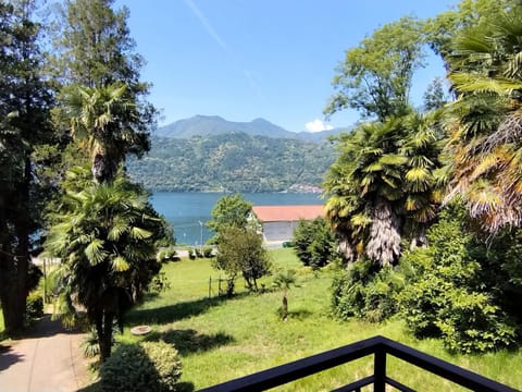 Lake view