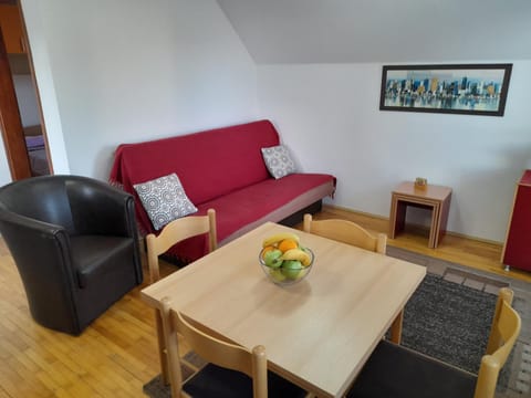 Apartmani Nova Zova Bed and Breakfast in Zlatibor