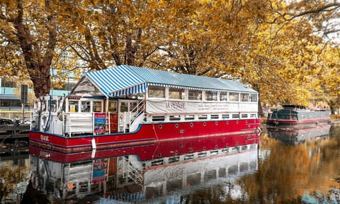 Alpha Cottage Apartment in Dublin
