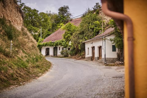 Neighbourhood, Hiking, Area and facilities