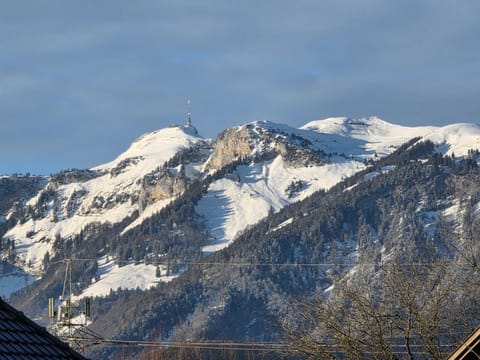 Coraline -Koblach, 6-10 P, 3 Schlafzimmer, Küche, riesige Terrasse, Parkplatz, WiFi, Stellplatz Ski Apartment in Appenzell Innerrhoden, Switzerland