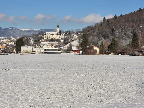 Coraline -Koblach, 6-10 P, 3 Schlafzimmer, Küche, riesige Terrasse, Parkplatz, WiFi, Stellplatz Ski Apartment in Appenzell Innerrhoden, Switzerland